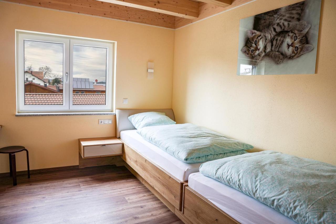 Aigner Ferientraum Apartment Kirchberg  Ngoại thất bức ảnh